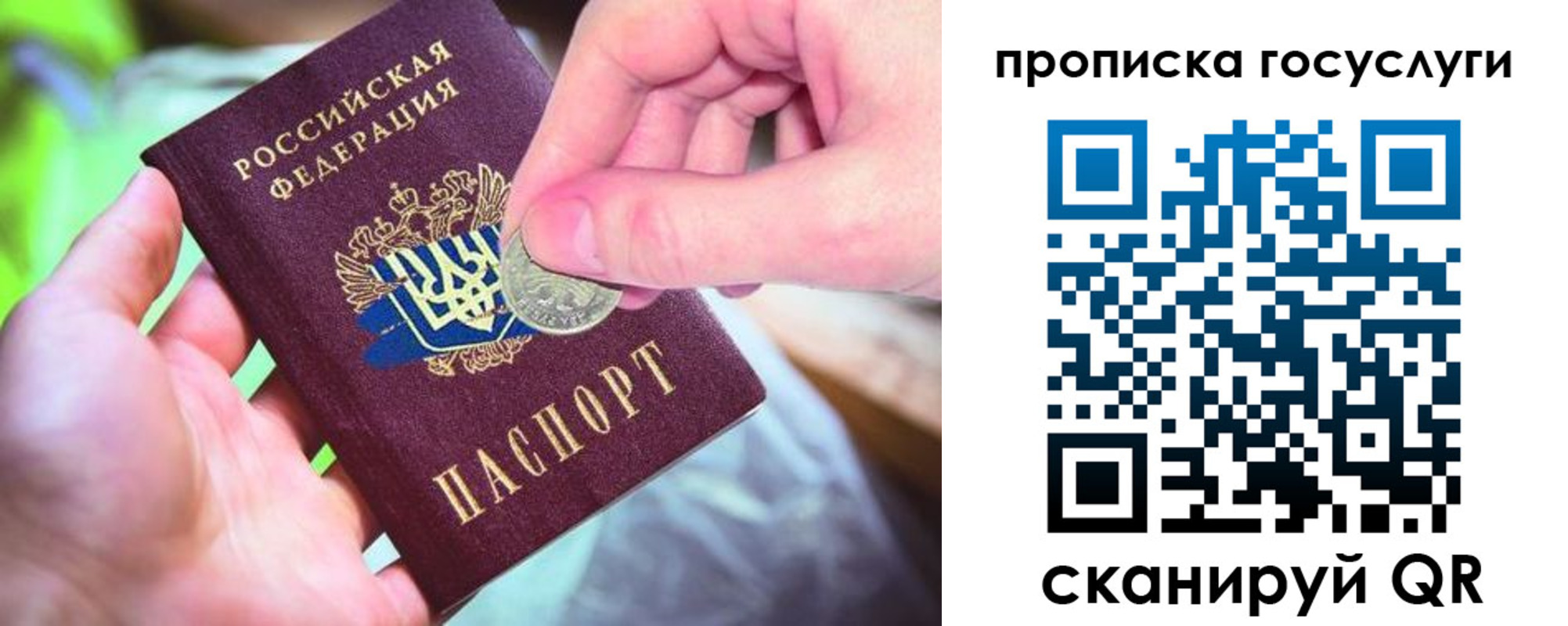 прописка иностранных граждан в Вязьме